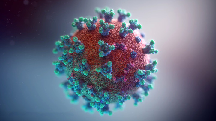 Кулон Коронавирус и заразные стикеры Telegram: Как в России хайпуют на страхе людей