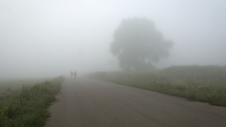 В Самарской области объявлен желтый уровень из-за тумана