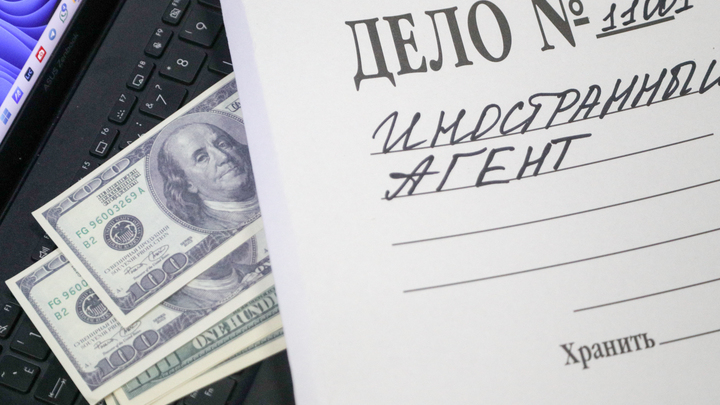 Против историка-иноагента Эйдельман возбудили новое дело о реабилитации нацизма