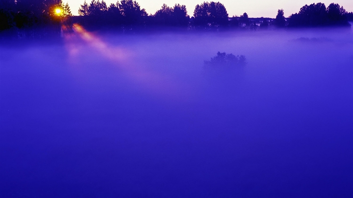 В Ковровском районе спасатели и полицейские эвакуировали из леса истощенного мужчину