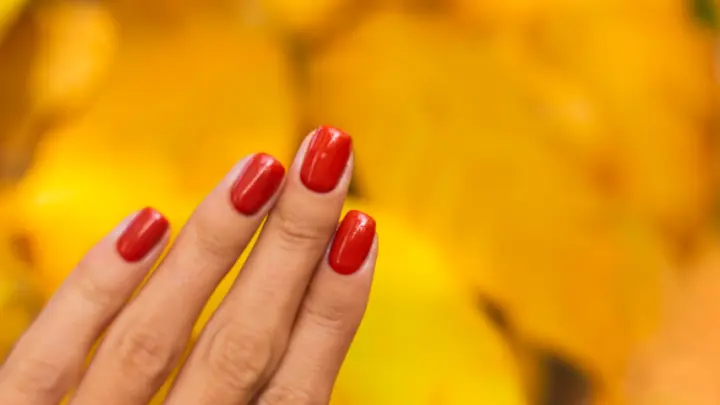 Эксперт Маркелов: новость о красных ногтях Зеленской стала мемом случайно