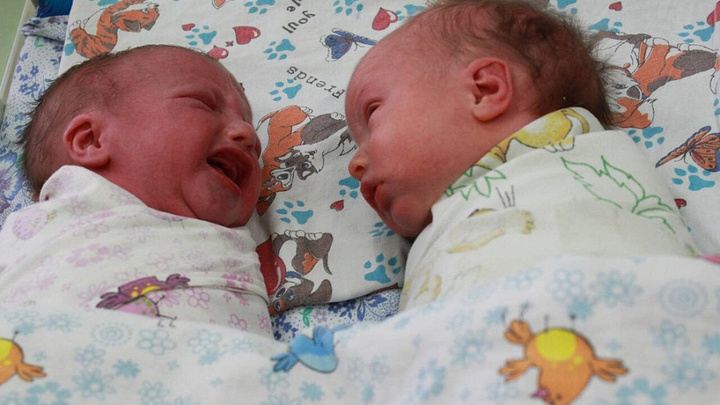 На Кубани с помощью ЭКО родилось 1192 ребенка