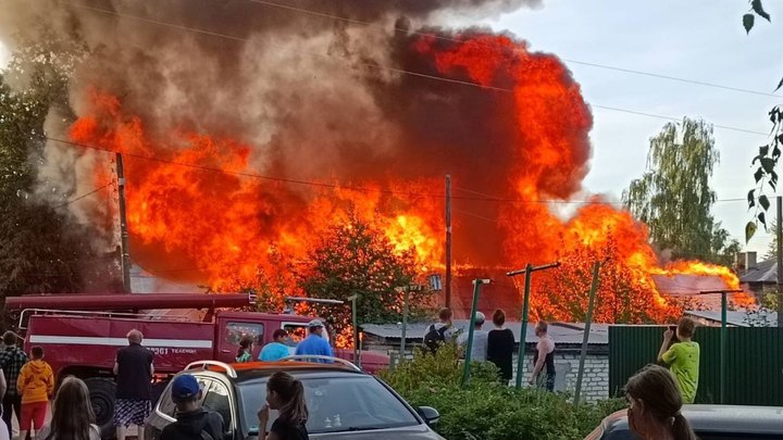 Три брата-школьника помогли тушить пожар на Бору: их труд отметили в МЧС
