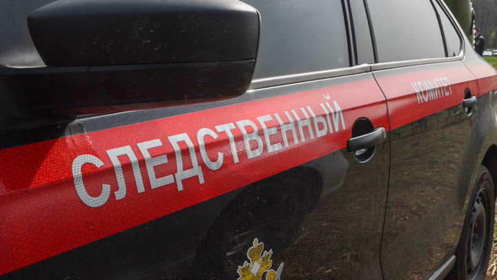 В подмосковном Пушкино мигрант пытается стать опекуном брошенных им детей