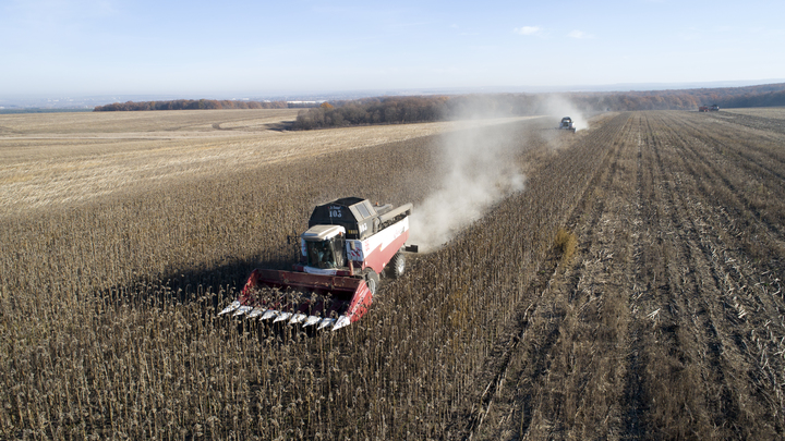 С 1 января 2023 года фермеры Кубани смогут без торгов получать землю в аренду