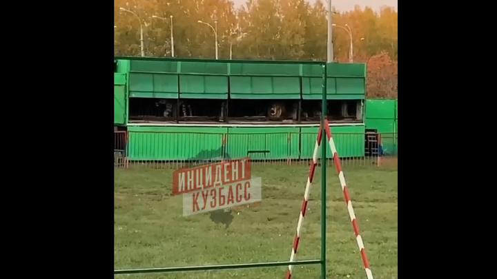 Кемеровчане массово возмущаются приехавшим в город передвижным зоопарком