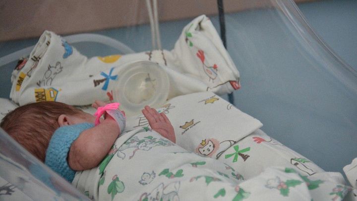 В Краснодарском крае с помощью ЭКО в первом квартале года родился 361 ребенок