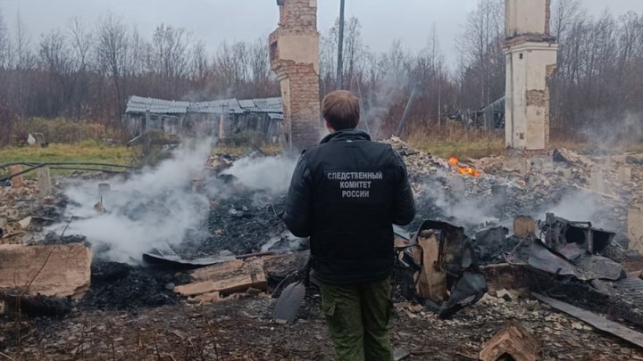 Тело молодого мужчины нашли на пожарище в Плесецком районе