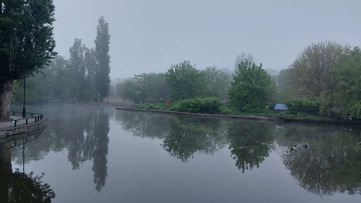 Погода на Кубани на 9 мая: пасмурно и дожди