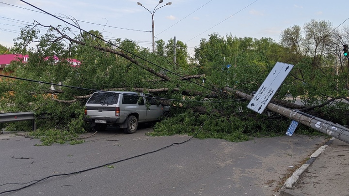 Десятки поваленных деревьев: оцениваем последствия урагана в Нижегородской области