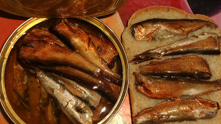 Во Владимирской области бизнесмен дал старой кильке новый «паспорт»