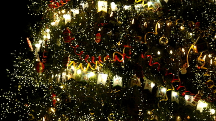 Новый год без снега: прогноз погоды на Кубани на 31 декабря