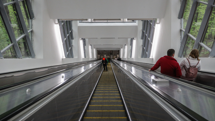 От кластера Ломоносов до благоустройства парков: Как развиваются Раменки и проспект Вернадского