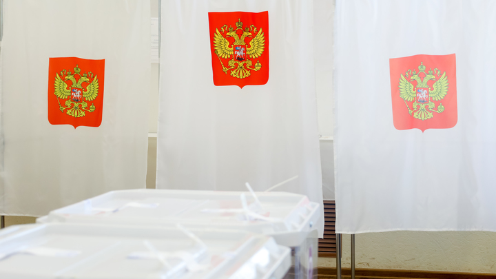 Жители Подмосковья не смогут принять участие в электронном голосовании из-за границы