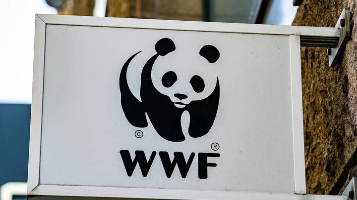 Битва за секреты русской Арктики: WWF* - уже иноагент. Но ещё огрызается