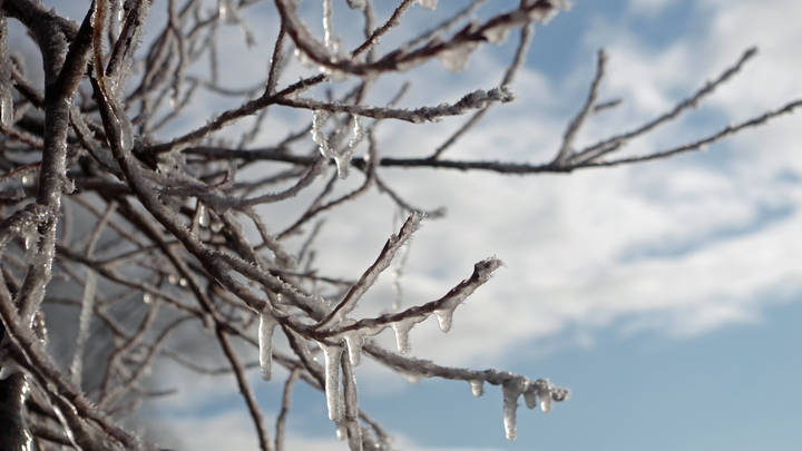 Морозы почти в 30 градусов: Синоптик заявил о значительной погодной аномалии в Москве