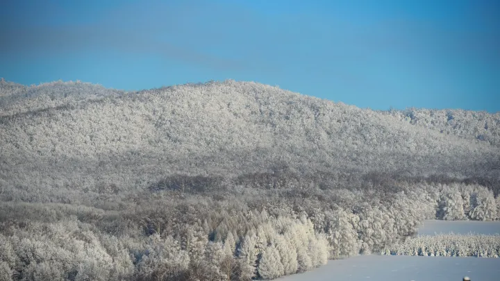 Объявлен результат повторных поисков семьи Усольцевых