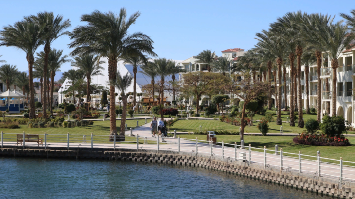 Путёвки в Египет, когда ждать скидок - названа дата