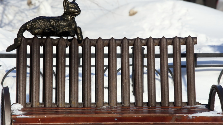 Расходы можно сильно уменьшить: Эксперт рассказал, как сэкономить на отоплении