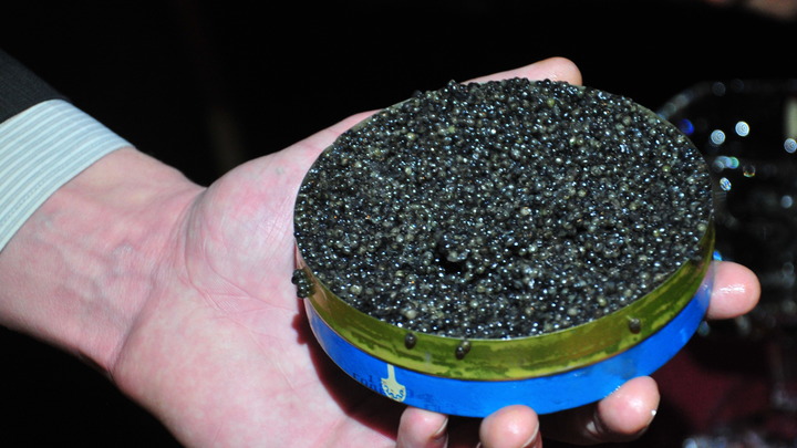 Банки чёрной икры и горы оружия. Кадры обыска особняка мэра Кизилюрта потрясли общество