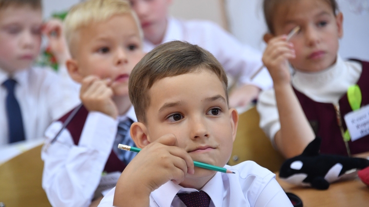 COVID не помеха? В Минпросвещения высказались о судьбе школьных линеек 1 сентября