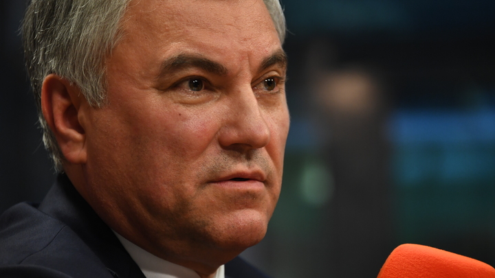 Володин заявил об окончании эпохи паразитизма Европы