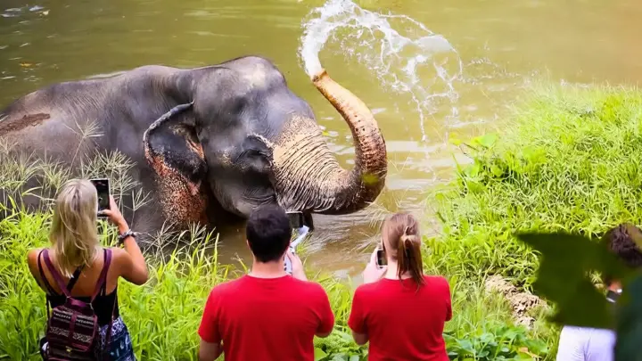 Таиланд зимой: Почему туристы массово уходят с пляжей Пхукета на север