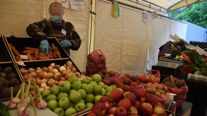 Обычный овощ оказался суперпродуктом: Врач рассказал, что нужно есть каждый день