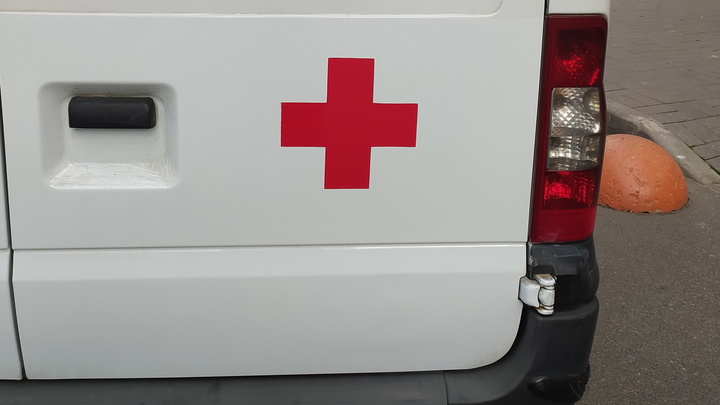 Есть ли угроза распространения сибирской язвы в России: Ответ пришёл из лаборатории