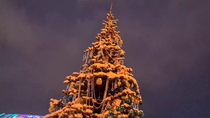 На ВДНХ Владимирская область представила ель с украшениями из гусевского хрусталя
