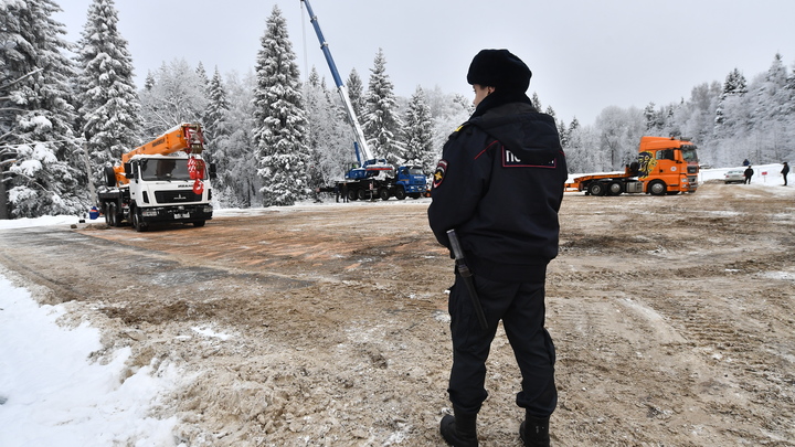 В Свердловской области погиб лесоруб