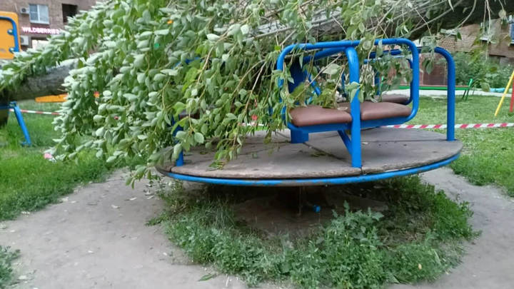 В Самаре возбудили уголовное дело после падения дерева на ребёнка