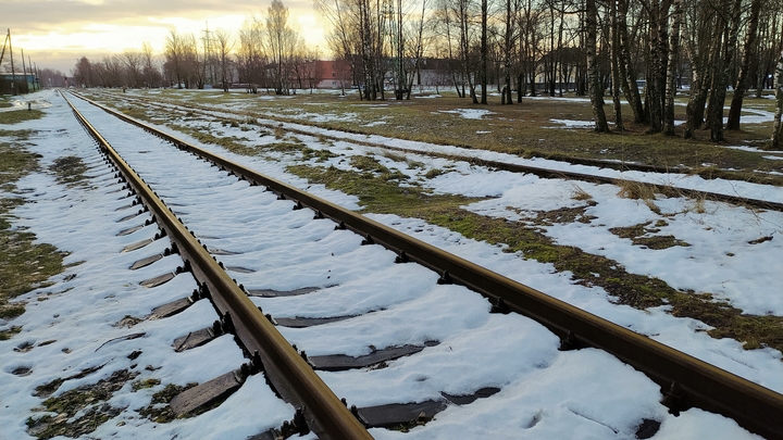 Использовали в качестве живого щита: В ЛНР нашли место массового расстрела луганчан