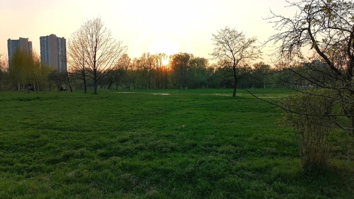 Сколько стоит вся земля в России? В правительстве дали ответ