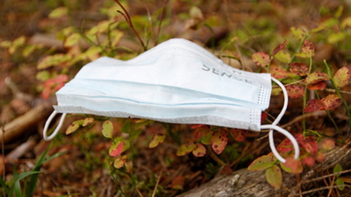 Кому нужна прививка от энцефалита: Комментарий вирусолога