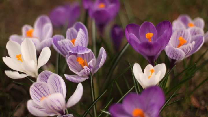 Открытки на 8 Марта. Маме, дочке, любимой женщине: Поздравляйте с удовольствием