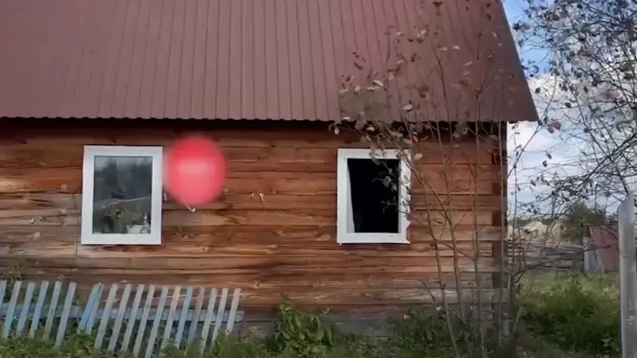 СК опубликовал видео с места нападения медведя на женщину в Красноярском крае