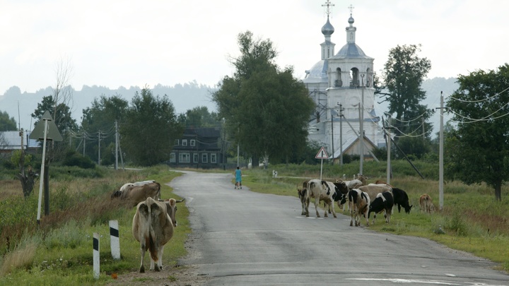 Народные приметы на 22 августа: что можно и нельзя делать в Матвеев день