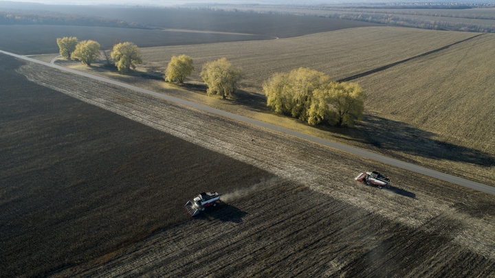 У фермеров освобожденных территорий Запорожья появятся перспективы — Сигута