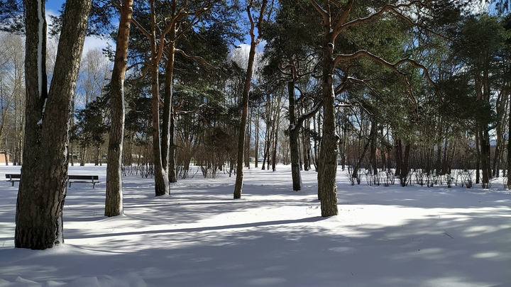 Аномальный Новый год. Эксперт рассказал, какая погода ждёт Россию в праздники