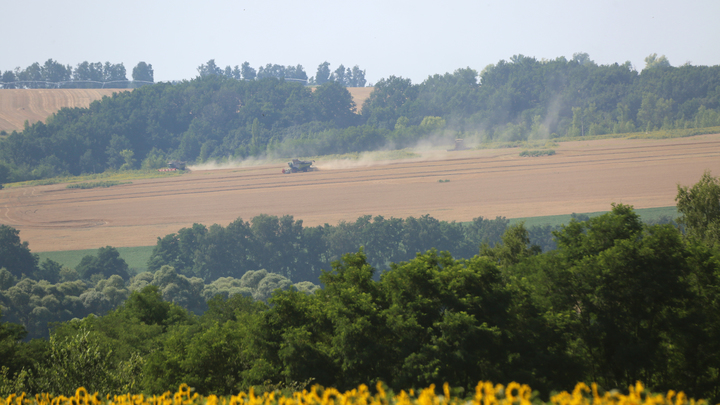 Зеленский боится, что Трамп его кинет. Просроченный президент отложил сделку по продаже Украины