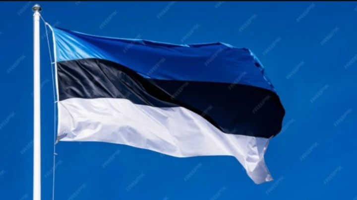 Эстония не стала сбивать беспилотник, чтобы не провоцировать конфликт с Россией