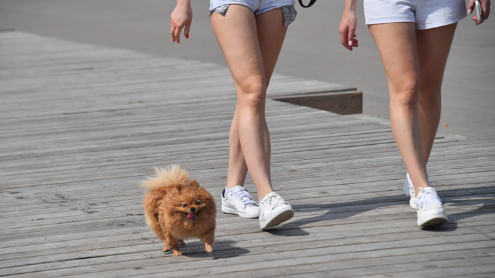 Он заметен при ходьбе: кардиологи назвали необычный признак высокого уровня холестерина