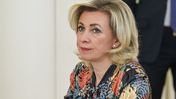 Захарова разоблачила хамелеонов в Германии