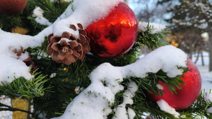 Киберэксперт Рыбников рассказал о мошеннических схемах в новогодние праздники