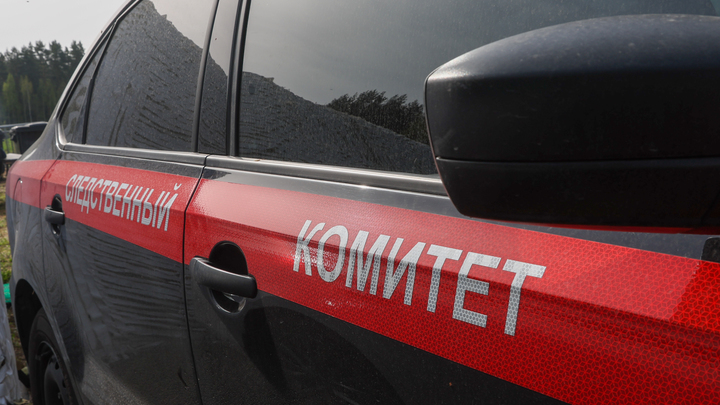 В СК расследуют дело об инциденте, где мальчик в школе распылил перцовку