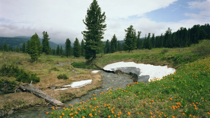 Выше нормы на 11 градусов: причину аномального ноября назвали синоптики