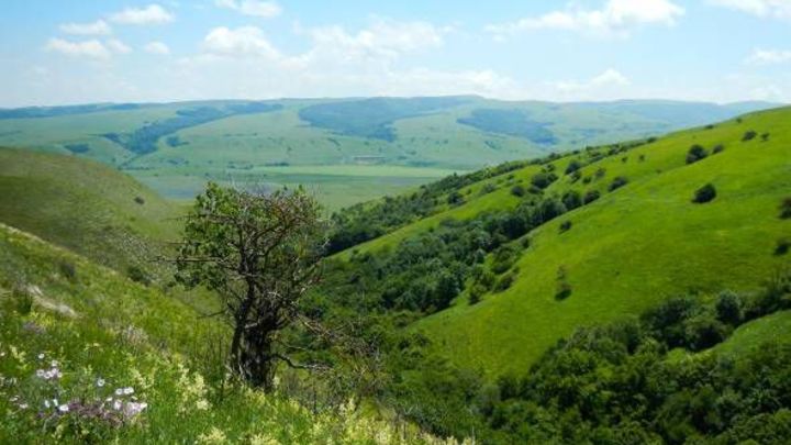 Новый природный заказник Чехрак образовали на Кубани