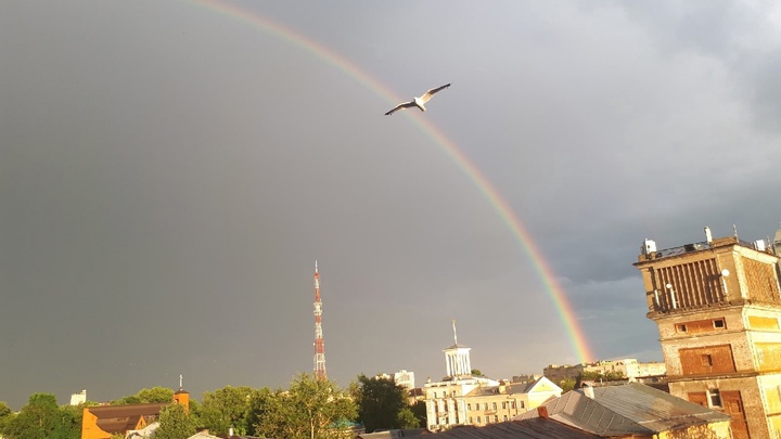 Русское Евровидение пройдёт в Петербурге: международный конкурс поп-музыки переезжает в Россию
