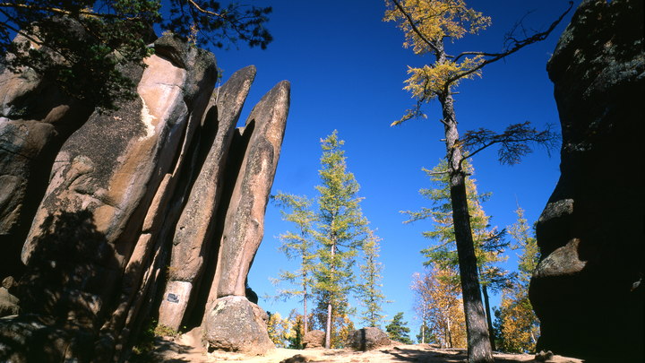 Сибиряк упал со скалы в Красноярских Столбах и разбил голову